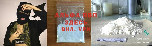 СК Новодвинск