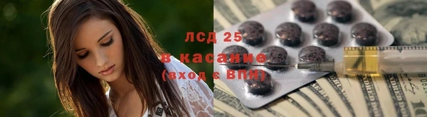 винт Новозыбков
