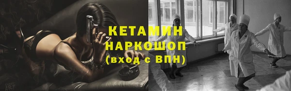 СК Новодвинск