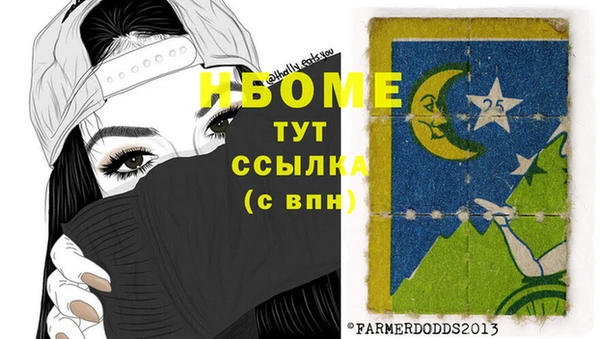 СК Новодвинск