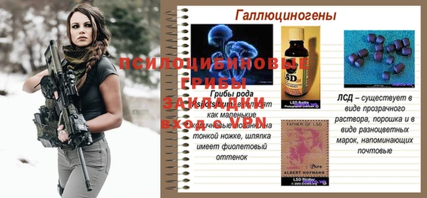винт Новозыбков
