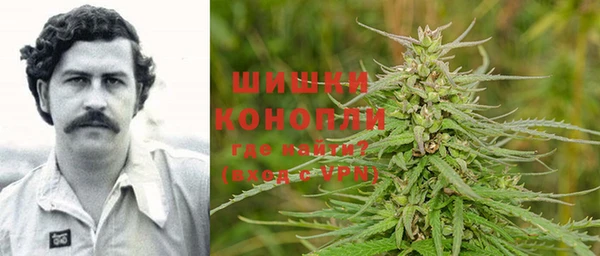 СК Новодвинск