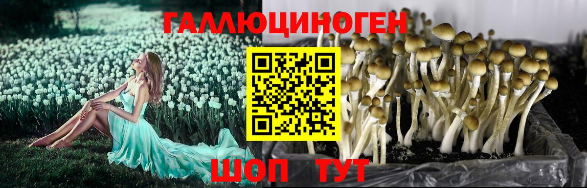 Сертолово  Вход с VPN  ЭКСТАЗИ  Меф МЯУ МЯУ кристаллы  APVP СОЛЬ   ГАШИШ  ГАШ  КОКАИН 